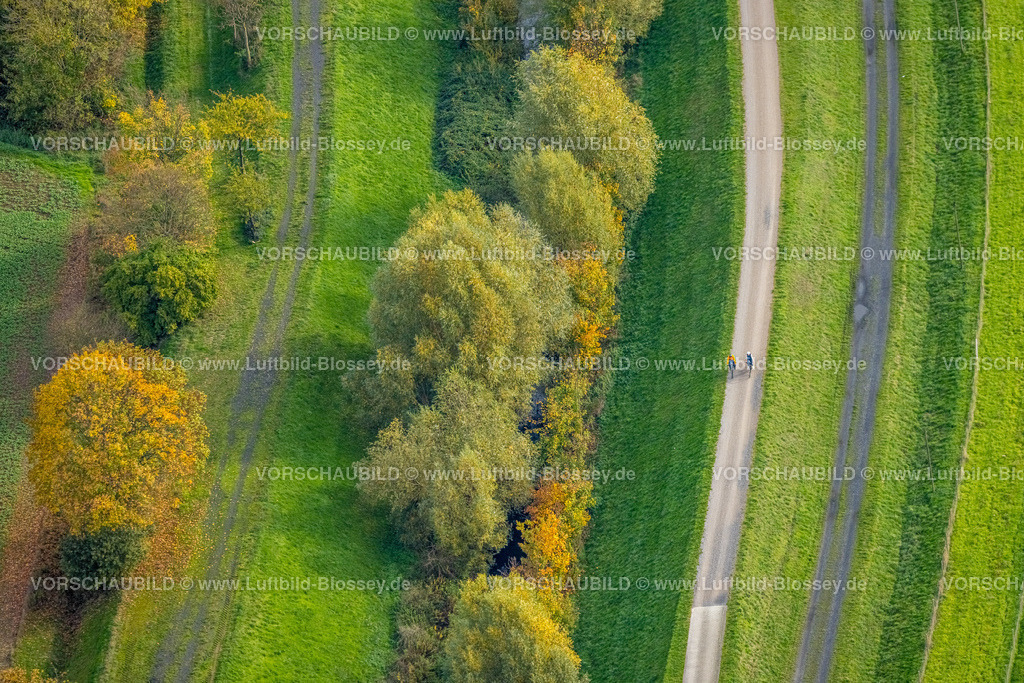 Bergkamen221012858 | Luftbild, Seseke Radweg, Herbstfarben, Methler, Kamen, Ruhrgebiet, Nordrhein-Westfalen, Deutschland