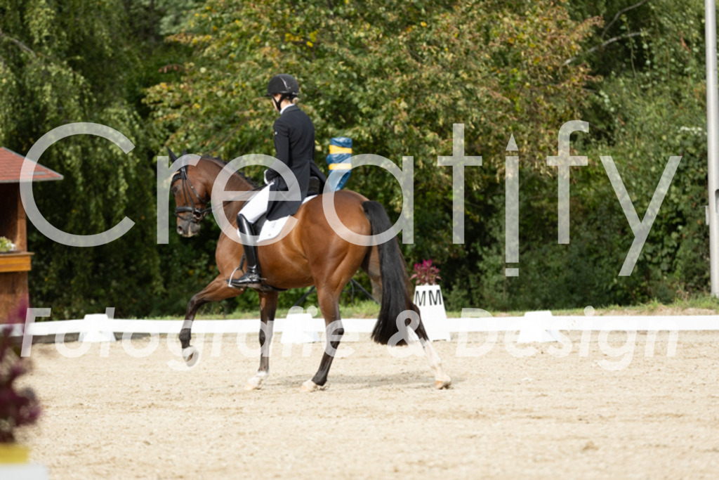 IMG_6575 | Creatify Fotografie