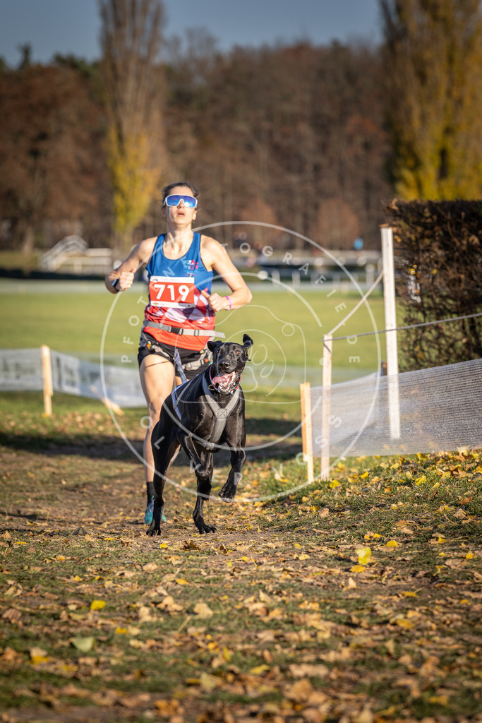 CaniXpix_DV3A1812 | Hundefotografie, Tierfotograf, Pfotenfotografie, Fotoshooting Hund, Hunde Portrait, Hundesport, Hundeportraits, Heideshooting, Hunde, Sportfotograf, Hundefotograf, Turnierhundsport, THS,  - Realisiert mit Pictrs.com