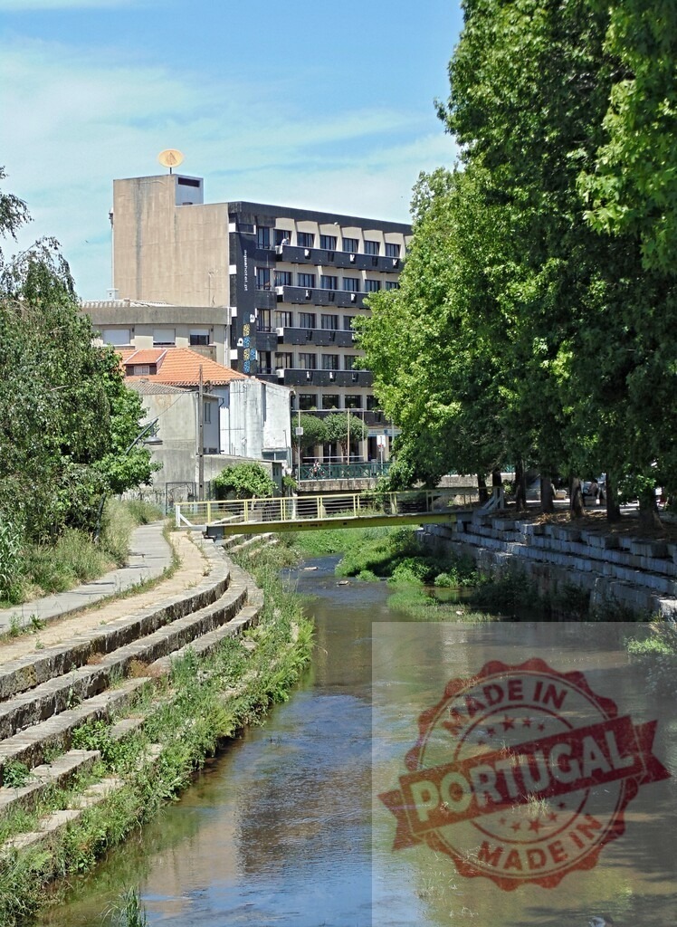 River passing through urban town with bridge and trees. Aveiro - Portugal | River flowing through a town, featuring a small pedestrian bridge, buildings, and green trees lining the banks - Realized with Pictrs.com