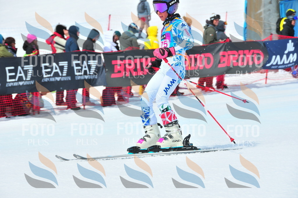 DSC_6317 | holidayphoto