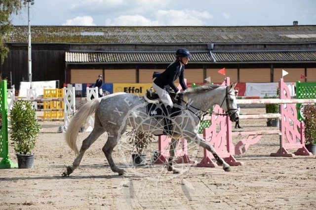 2B4A3707 | pixelfaenger - Realisiert mit Pictrs.com