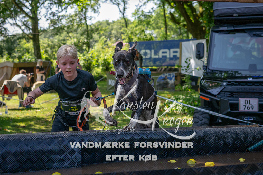 1343_ZZ92124 | kk-dogfotos