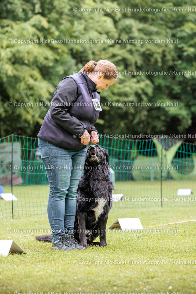 RO-Blumenthal-2026-Nickbest-Hundefotografie-4665 | Dein Hund! Dein Moment! Deine Erinnerungen! Hundefotografie in Bremen Blumenthal. Ich fange die besonderen Momente deines Vierbeiners ein – ob Indoor mit Blitzanlage oder in der freien Natur. Sicher dir dein Moment und dein Termin für eure Erinnerungen.