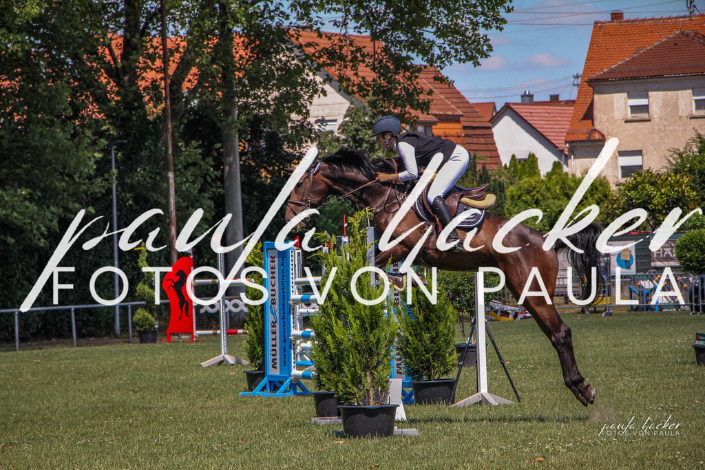IMG_9690 | Erleben Sie dynamische Sport- und emotionale Tierfotografie in Süddeutschland mit Fotos von Paula. Spezialisiert auf Pferde- und Hundefotografie sowie Sportevents. Kontaktieren Sie mich für einzigartige und ausdrucksstarke Bilder Ihrer besonderen Momente. - Realisiert mit Pictrs.com