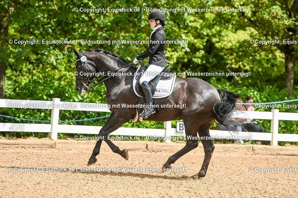 20230716_01_Dressurprüfung Kl.M_0036 | equistock