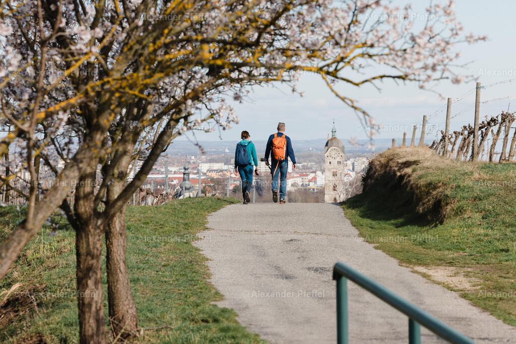 foto_c_pfeffel-partner-0175-R52_2623 | alexander-pfeffel - Realisiert mit Pictrs.com