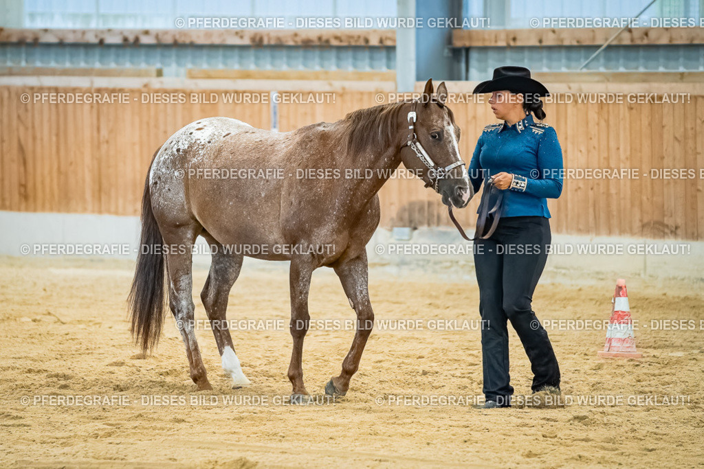 DSC09762 | Pferdegrafie