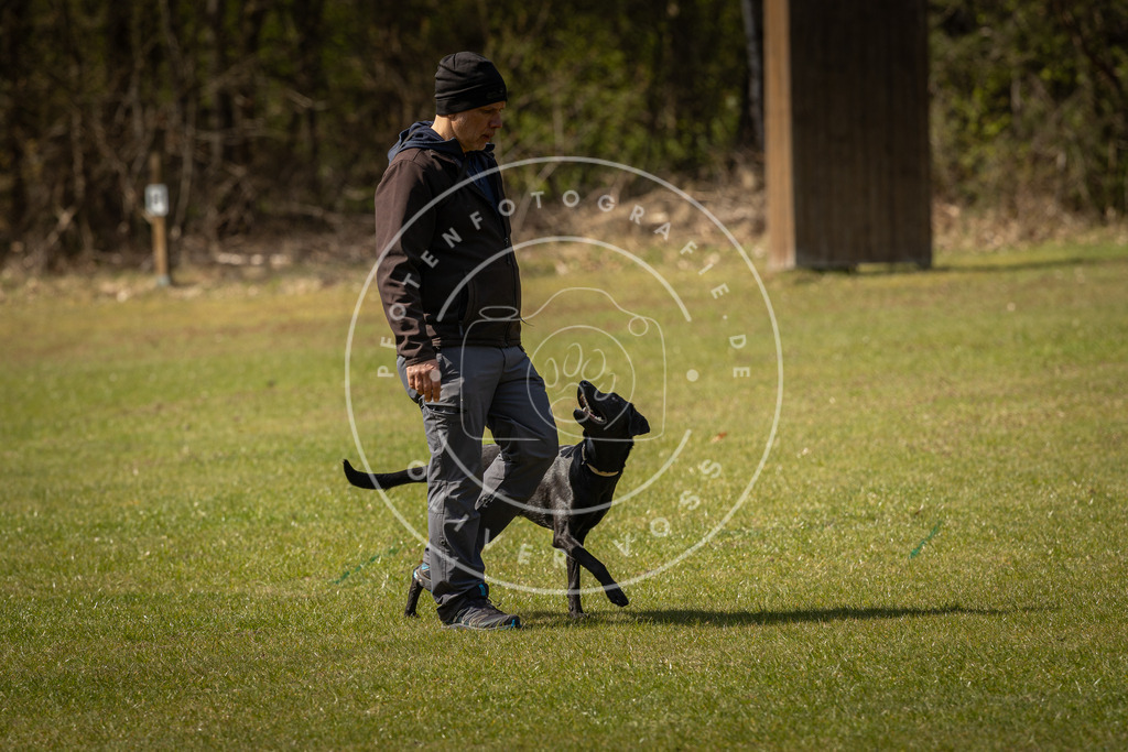 Pfotenfotografie_DV3A1261 | Hundefotografie, Tierfotograf, Pfotenfotografie, Fotoshooting Hund, Hunde Portrait, Hundesport, Hundeportraits, Heideshooting, Hunde, Sportfotograf, Hundefotograf, Turnierhundsport, THS,  - Realisiert mit Pictrs.com