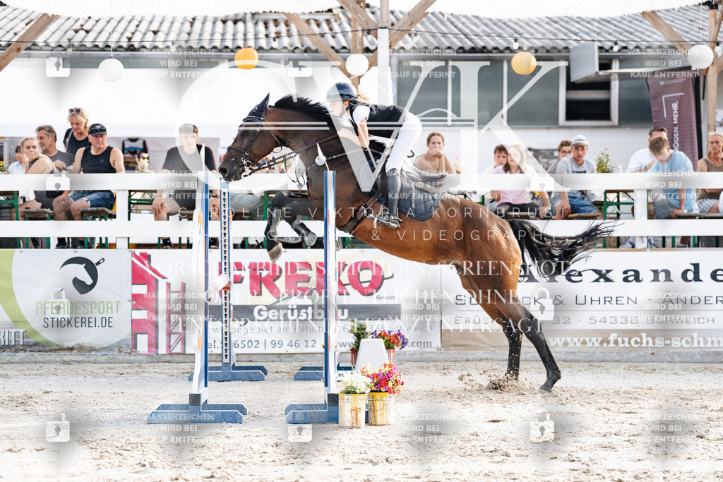 CK906197 | Turnierfotografie Pferdefotografie Trier Rheinland-Pfalz Pferdesport Reitsport Tierfotografie Sportfotografie Pferdevideo Pferdevideografie Equestrianvideography equestrianphotography  - Realisiert mit Pictrs.com