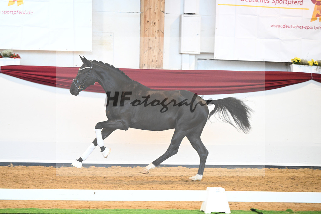 Kat-Nr. 51 v. Toto jr._Winklmaier_66220919 | hf-fotografie - Realisiert mit Pictrs.com