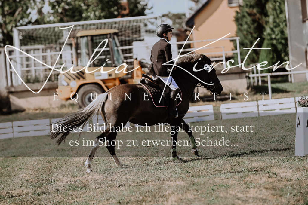DSC_9462 | Pferde- und Turnierfotografie in Westsachsen. Pferdeportraits, Auftragszeichnungen und intuitive Kunst.