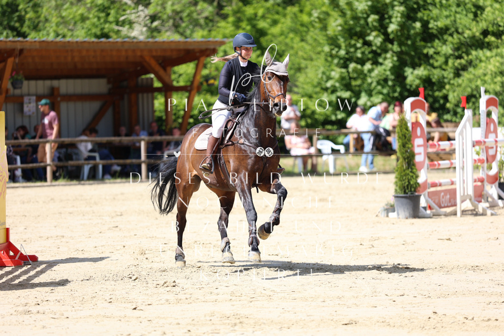 IMGS8877 | pl-fotografie