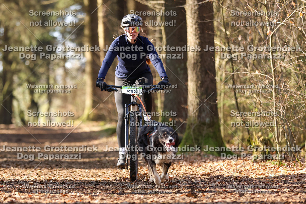Dog Paparazzi - VCC26-1049 | Dog Paparazzi Jeanette Grottendiek Fotografie & Videografie - Realisiert mit Pictrs.com