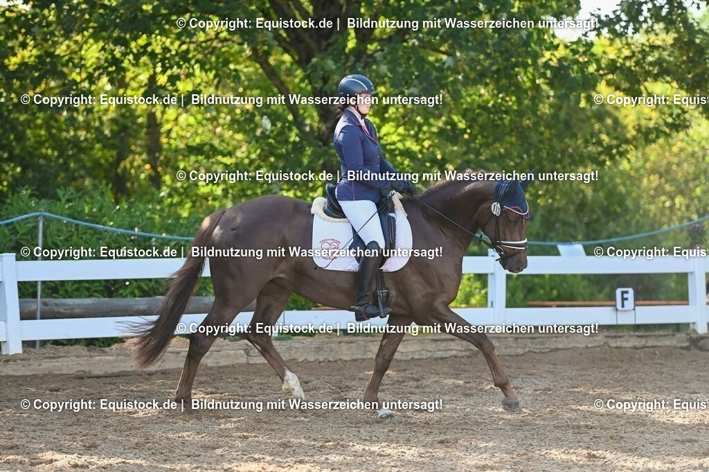 20230715_06_Dressurpferdeprfg. Kl.A_0130 | equistock
