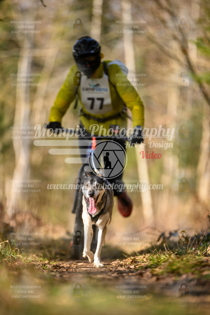 MompixPhotography_6ReiatRennen2026_SO_Scooter-38 | PayLife