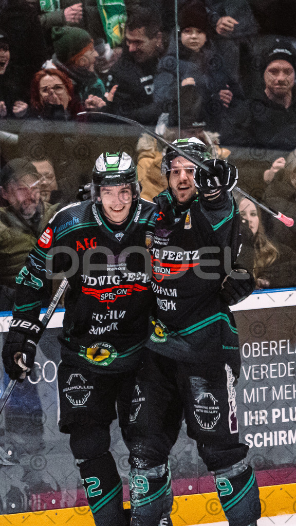 Alligators_vs_Selb_27_02_2026-30 | Höchstadt Alligators Fotogalerie: Eishockey-Action aus Franken. Professionelle Spielfotos, Portraits & Stadionbilder zum Download. Jetzt entdecken! - Realisiert mit Pictrs.com