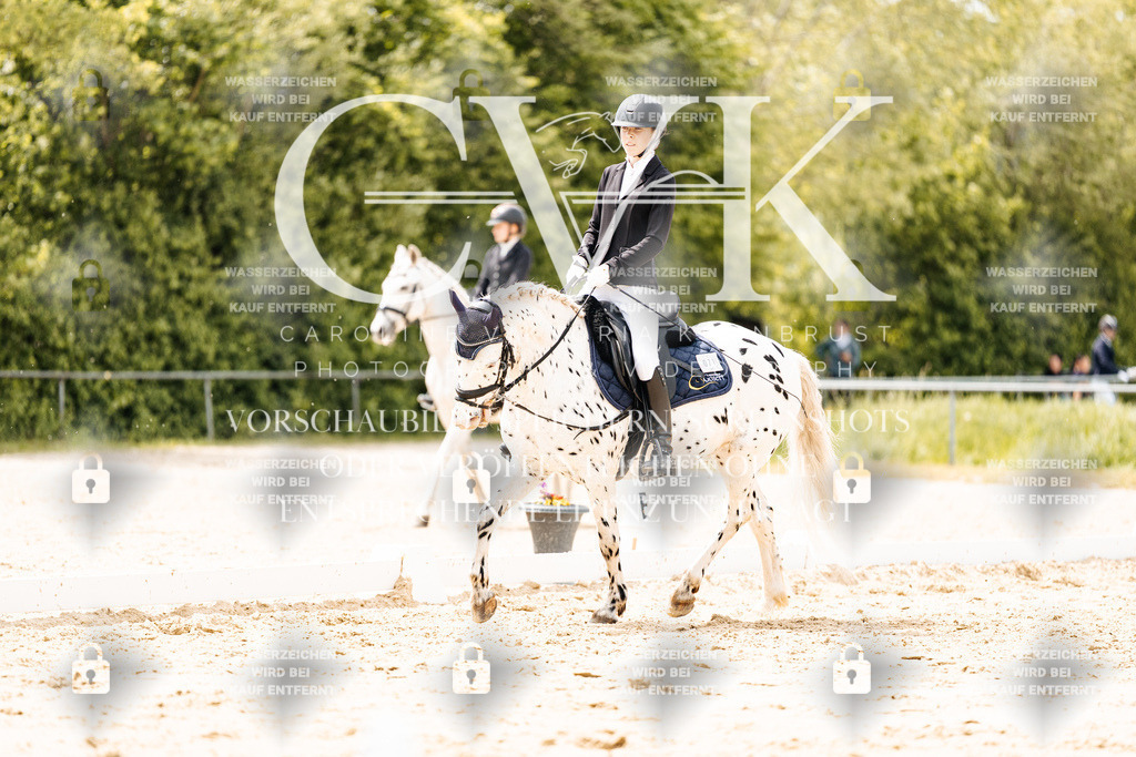 CK902324 | Turnierfotografie Pferdefotografie Trier Rheinland-Pfalz Pferdesport Reitsport Tierfotografie Sportfotografie Pferdevideo Pferdevideografie Equestrianvideography equestrianphotography  - Realisiert mit Pictrs.com