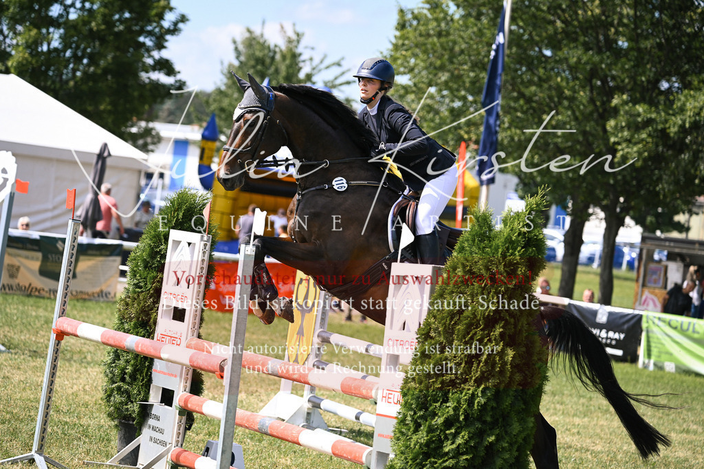 DSC_0525 | Pferde- und Turnierfotografie in Westsachsen. Pferdeportraits, Auftragszeichnungen und intuitive Kunst.