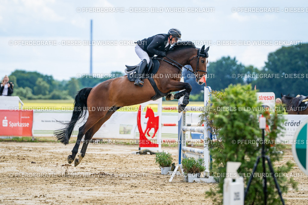 DSC05730 | Pferdegrafie