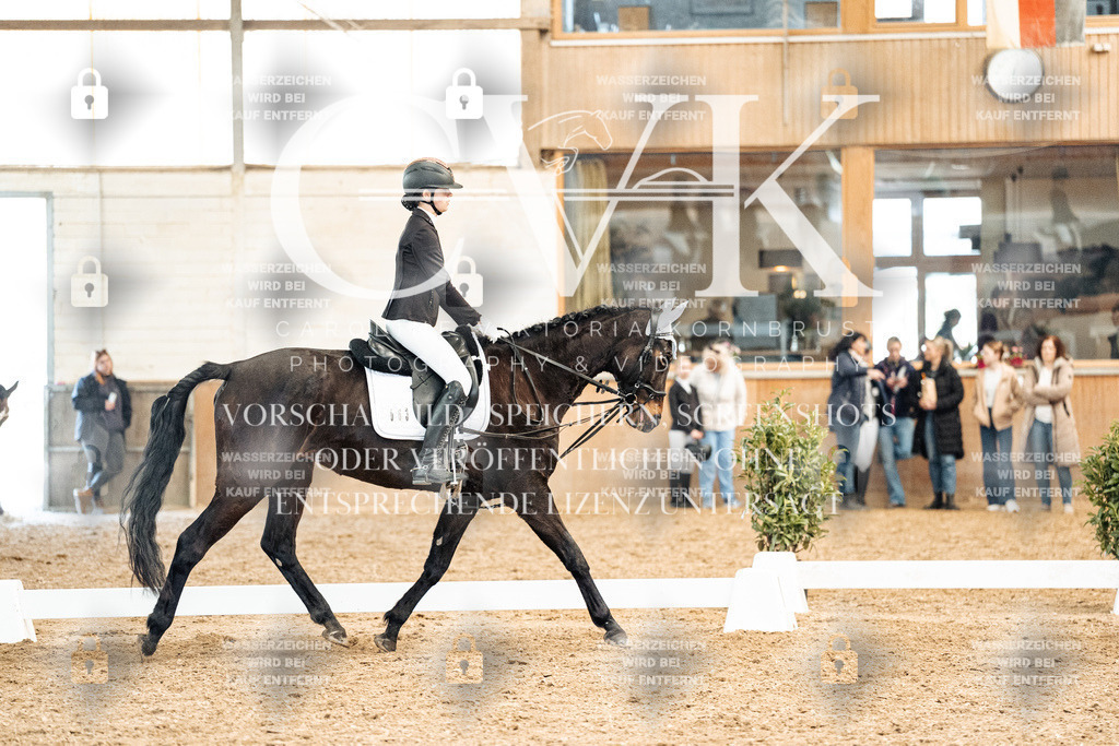 CK900180 | Turnierfotografie Pferdefotografie Trier Rheinland-Pfalz Pferdesport Reitsport Tierfotografie Sportfotografie Pferdevideo Pferdevideografie Equestrianvideography equestrianphotography  - Realized with Pictrs.com
