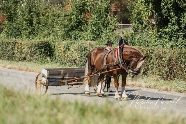 7V6A1615 | natalia-nirschl-photography