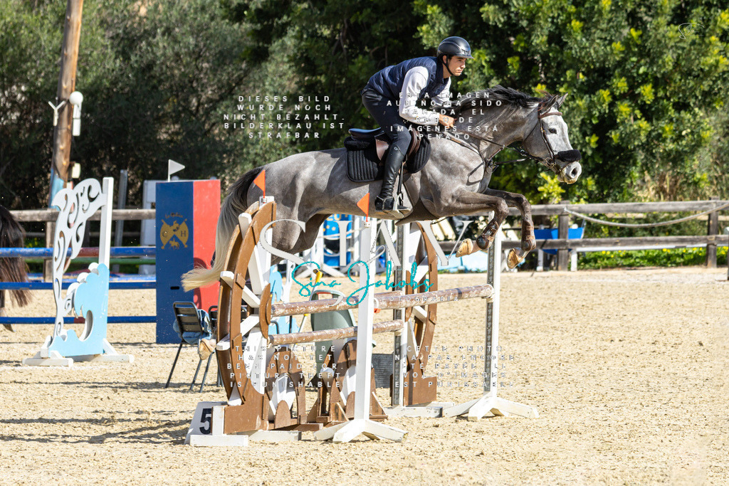 IMG_4106 | s-jay-photography - Realisiert mit Pictrs.com