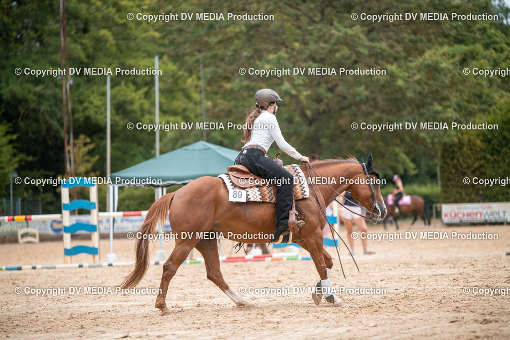 ZS2_8613 | dv-media-shop - Realisiert mit Pictrs.com