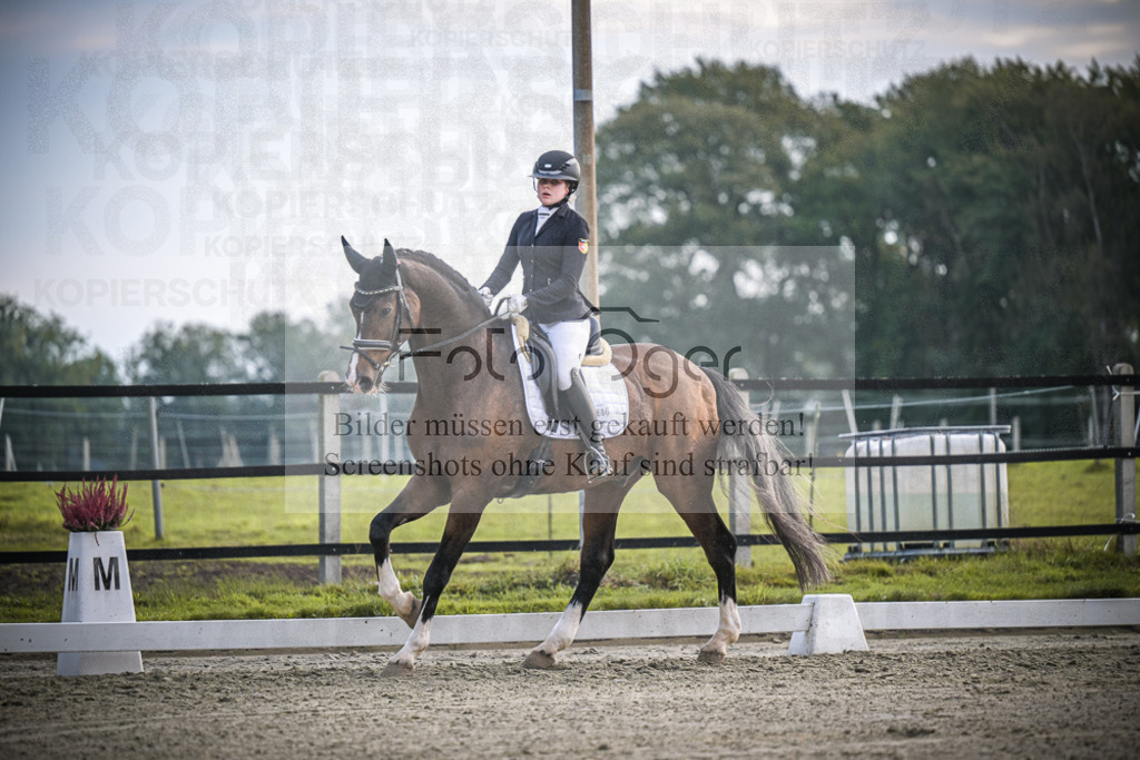 DOS_3931 | Entdecke hochwertige Reitturnierfotos von Foto Oger. Professionell, emotional und authentisch – jetzt Lieblingsmomente im Shop bestellen.Deutschlandweite Turnierfotografie. - Realisiert mit Pictrs.com