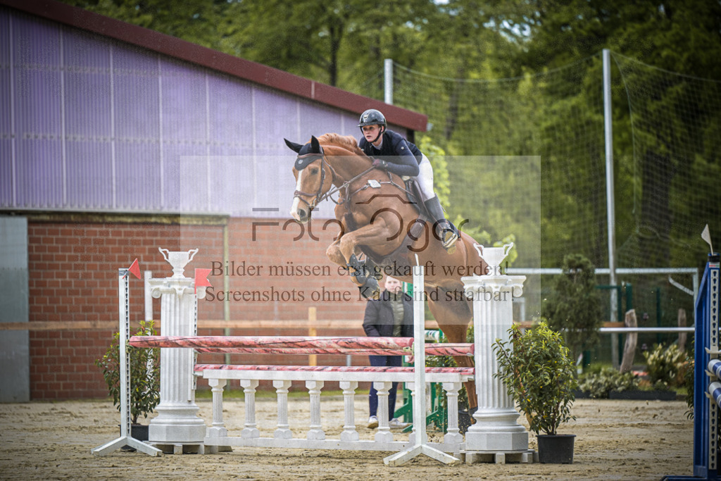 DOS_5746 | Entdecke hochwertige Reitturnierfotos von Foto Oger. Professionell, emotional und authentisch – jetzt Lieblingsmomente im Shop bestellen.Deutschlandweite Turnierfotografie. - Realisiert mit Pictrs.com