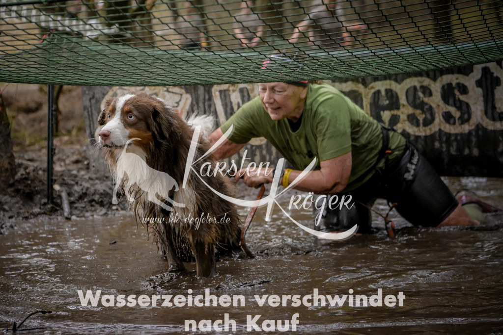 0953_ZZ98542 | kk-dogfotos