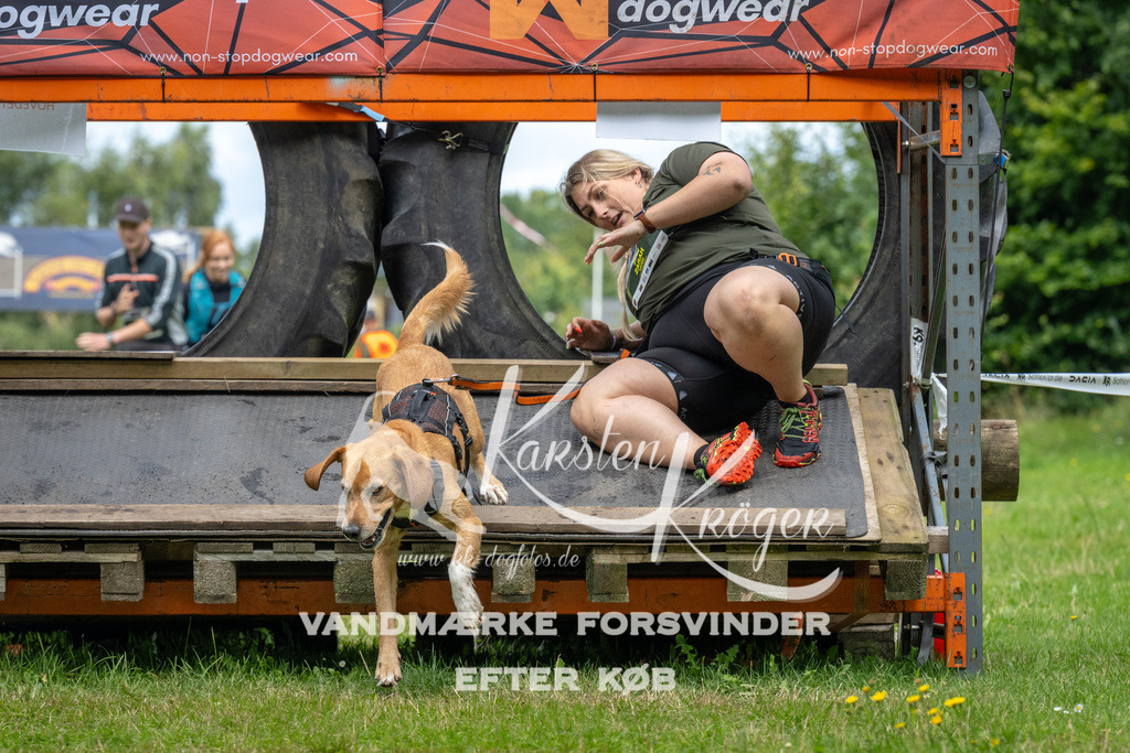 1233_ZZ93963 | kk-dogfotos