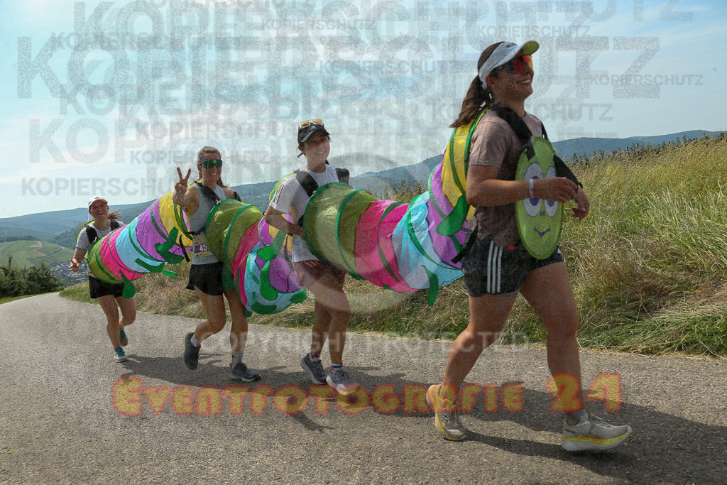 250614_1208_EX1_6759 | Sportfotografie im Rhein-Sieg Kreis, Köln, Bonn, NRW, Rheinland Pfalz, Hessen, etc. Unser Tätigkeitsfeld umfasst den Laufsport vom Volkslauf über den Marathon, Duathlon, Triathon bis zum Ultralauf wie Kölnpfad Ultra oder Schindertrail.
