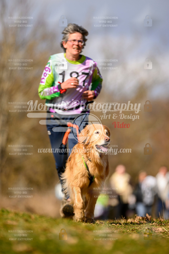 MompixPhotography_10Schwabentrail2026_SO_Canicross-115 | PayLife