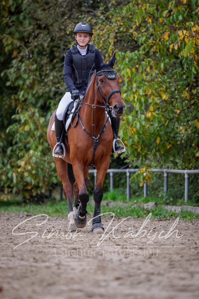 20251012-_3LI2867 | Tierfotografie Pferde, Hunde, Katzen, Haustiere.
Turnierfotografie Reitturniere, Reiten, Springreiten, Dressur in Hanau, dem Main-Kinzig-Kreis und dem Rhein-Main- Gebiet um Frankfurt