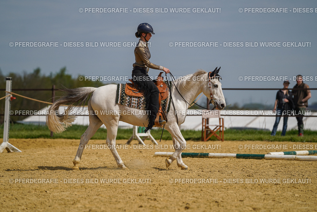 DSC04706 | Pferdegrafie