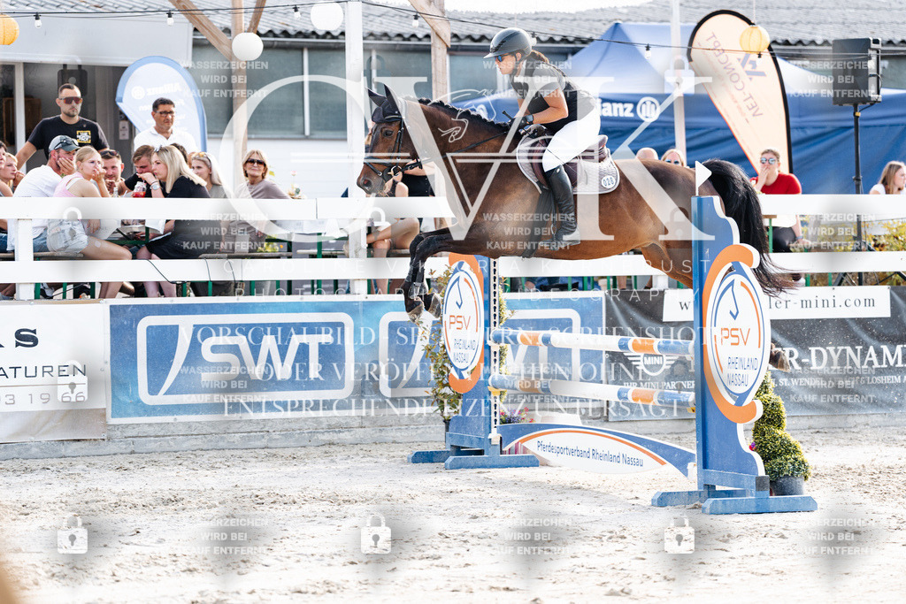 CK906307 | Turnierfotografie Pferdefotografie Trier Rheinland-Pfalz Pferdesport Reitsport Tierfotografie Sportfotografie Pferdevideo Pferdevideografie Equestrianvideography equestrianphotography  - Realisiert mit Pictrs.com