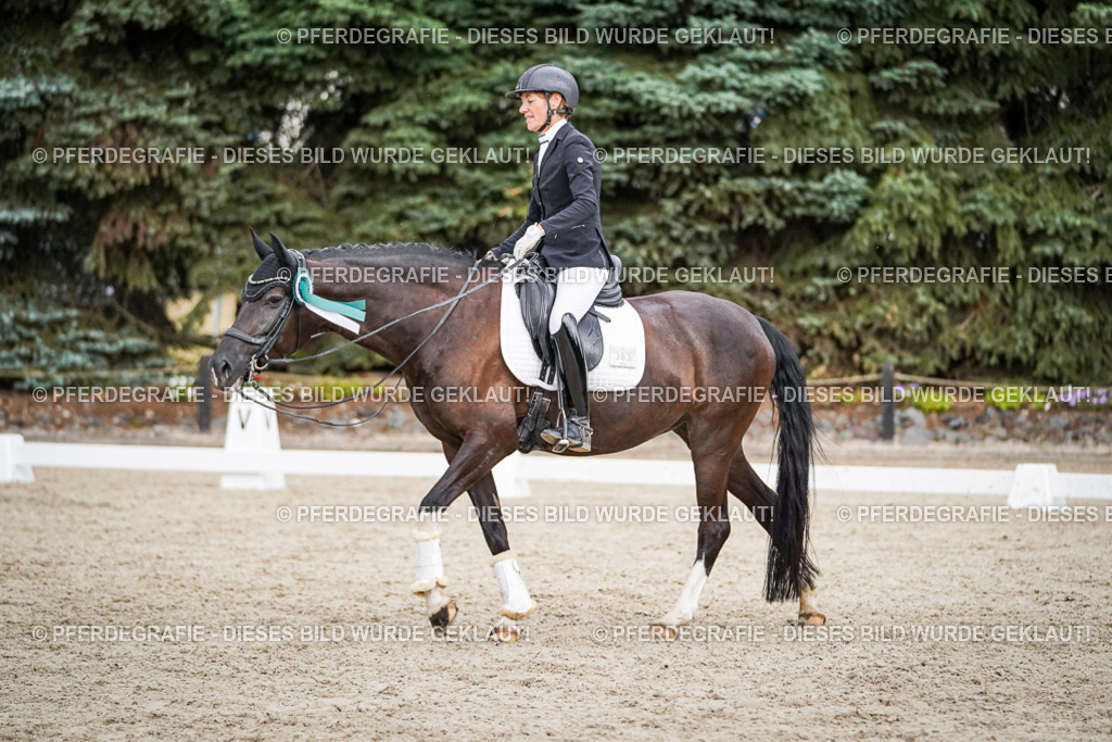 DSC00043 | Pferdegrafie