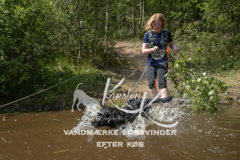 1416DKK990199 | kk-dogfotos