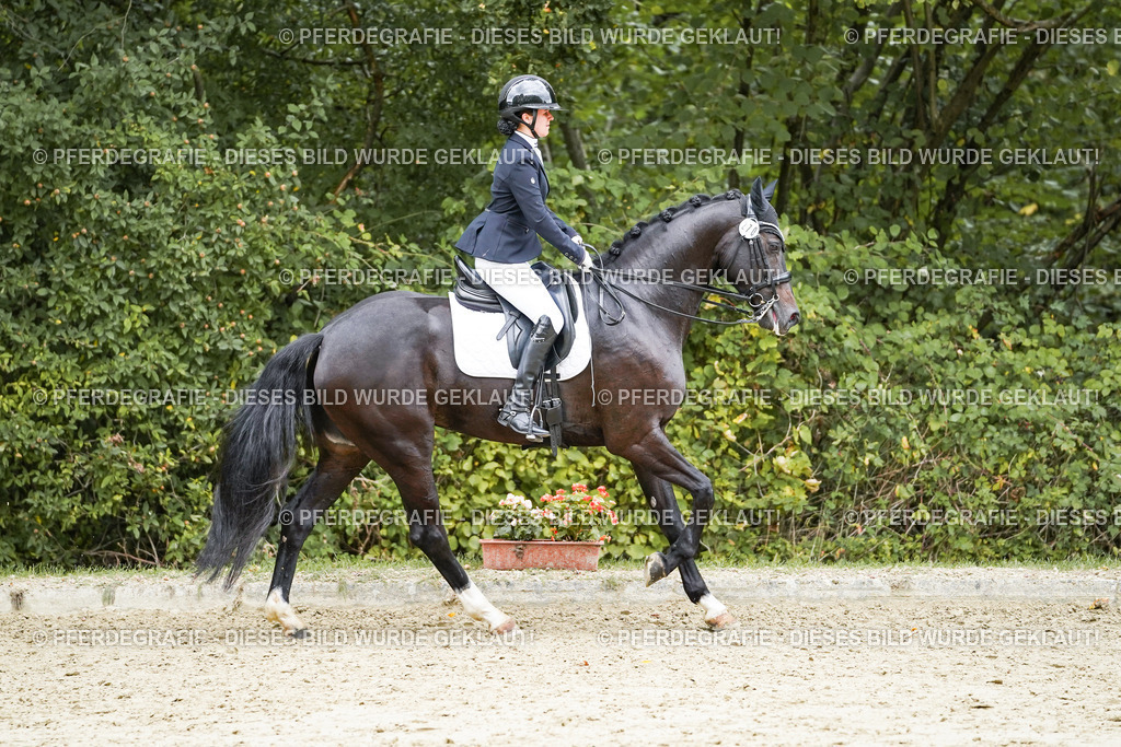 DSC07106 | Pferdegrafie