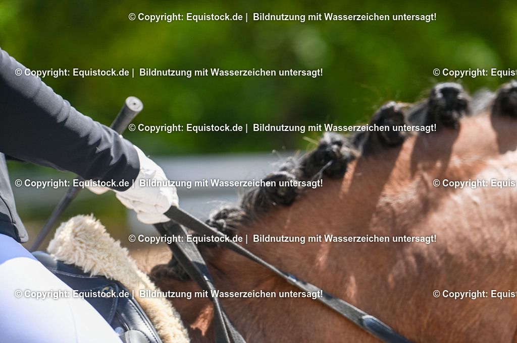 20230715_09_Dressur-WB_0322 | equistock