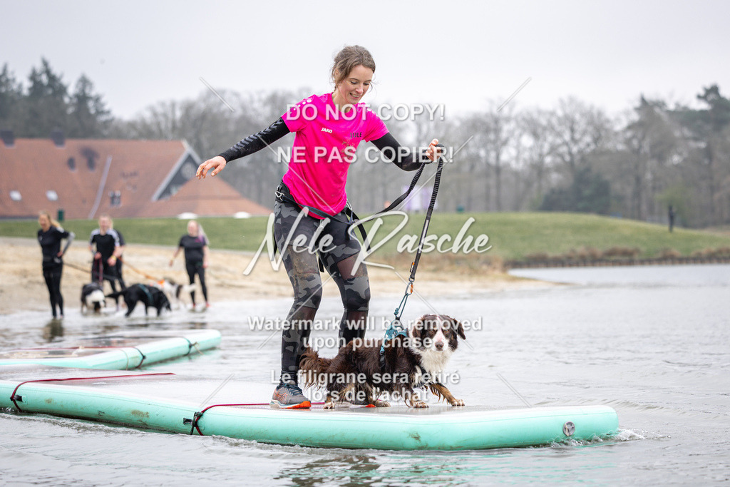 nelerasche_Hulsbeek_Sa1130-1230_160 | nelerasche