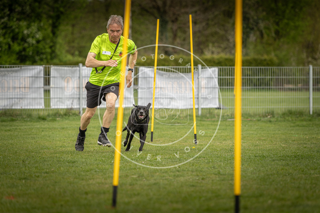 Pfotenfotografie_DV3A7674 | Hundefotografie, Tierfotograf, Pfotenfotografie, Fotoshooting Hund, Hunde Portrait, Hundesport, Hundeportraits, Heideshooting, Hunde, Sportfotograf, Hundefotograf, Turnierhundsport, THS,  - Realisiert mit Pictrs.com
