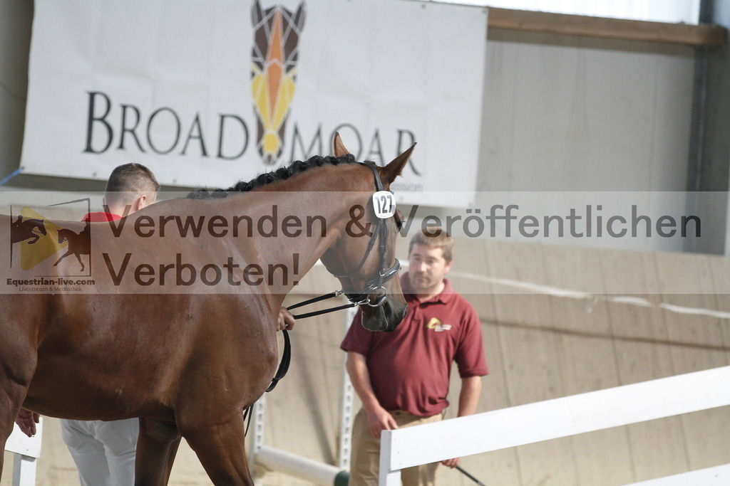 _MG_0651 | equestrian-live-com