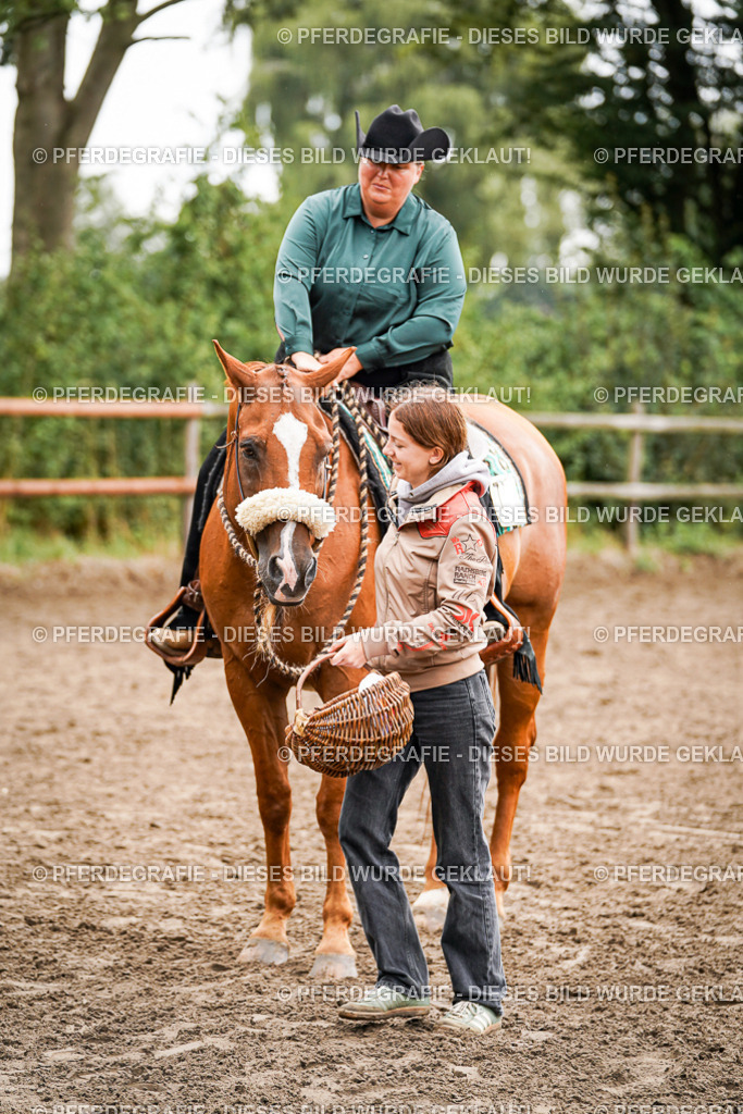 DSC04832 | Pferdegrafie