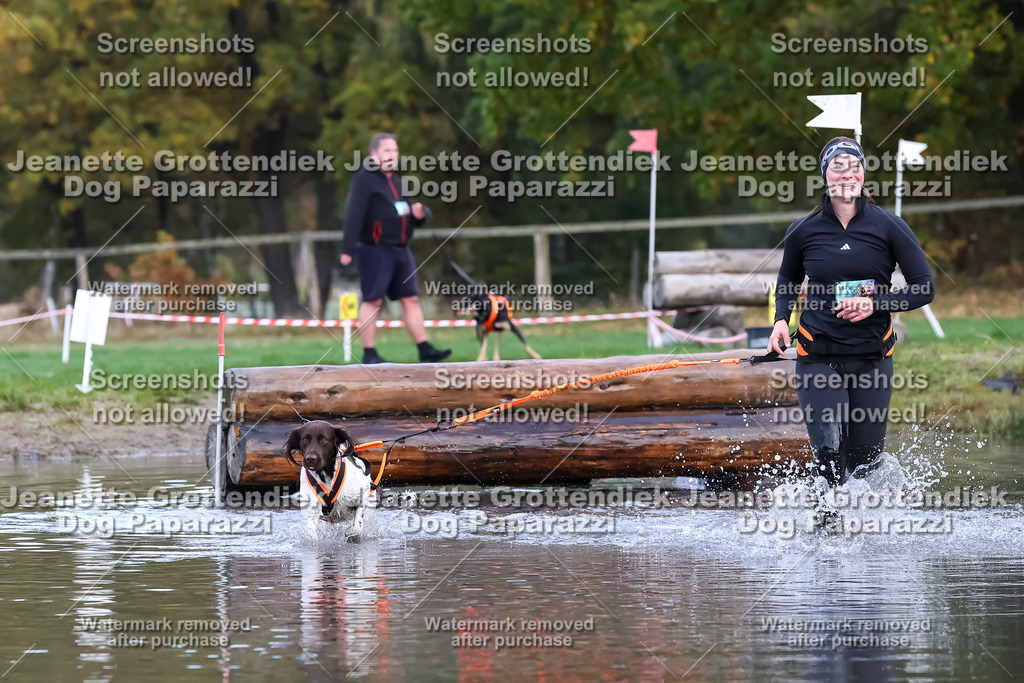 Dog Paparazzi - Strongdog 10-25-6629 | Dog Paparazzi Jeanette Grottendiek Fotografie & Videografie - Realisiert mit Pictrs.com