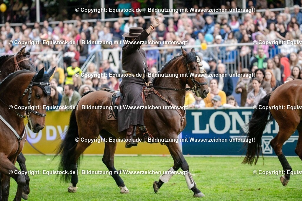 20250606_Lange-Pferdenacht_0592 | Foto: Thomas Hartig