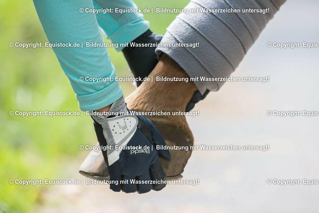 TS_20170715_Roeckl_Handschuhe_0001 | Foto: Thomas Hartig