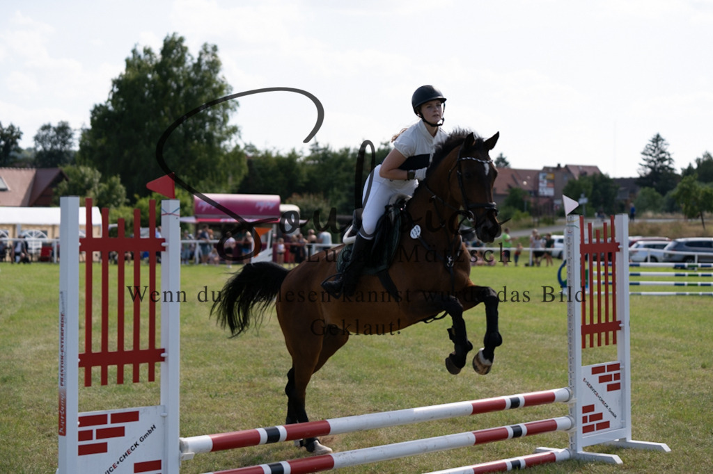 A7V00552 2 | Turnier/Reitfotograf
