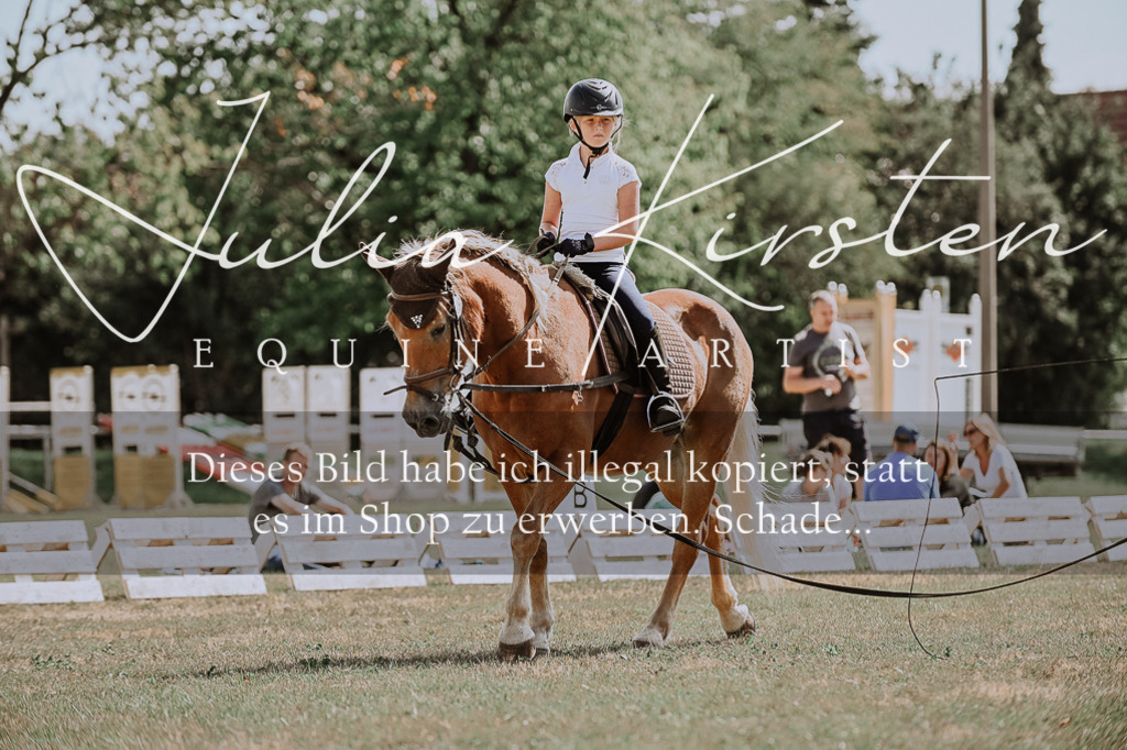 DSC_7791 | Pferde- und Turnierfotografie in Westsachsen. Pferdeportraits, Auftragszeichnungen und intuitive Kunst.